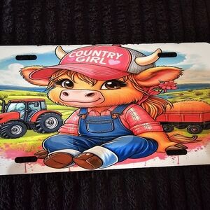 Full-Size License Plate